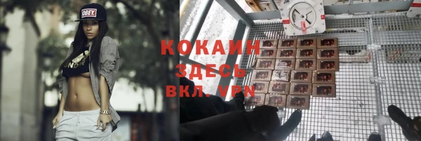 спайс Медвежьегорск