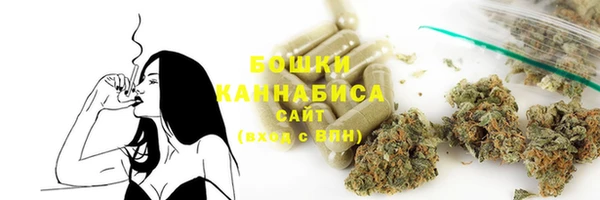 герыч Мегион