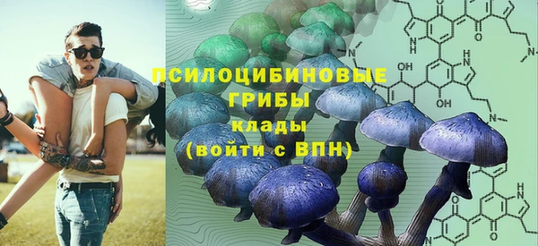 герыч Мегион