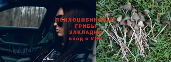 хмурый Михайлов