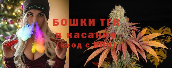 герыч Мегион
