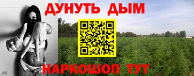 PSILOCYBIN Белорецк