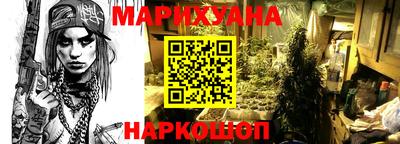 скорость Бердск