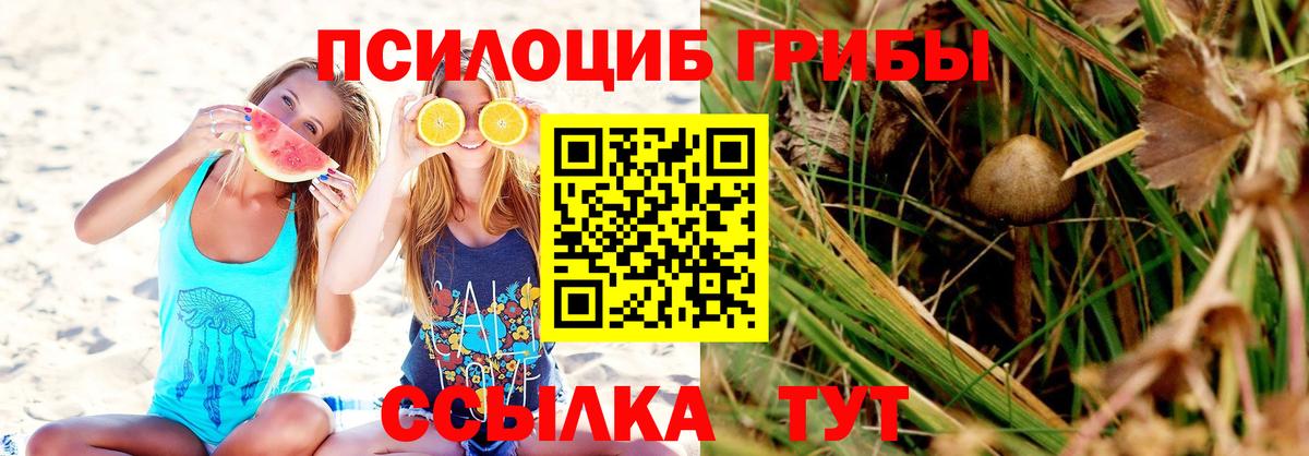 Галлюциногенные грибы ЛСД Липецк