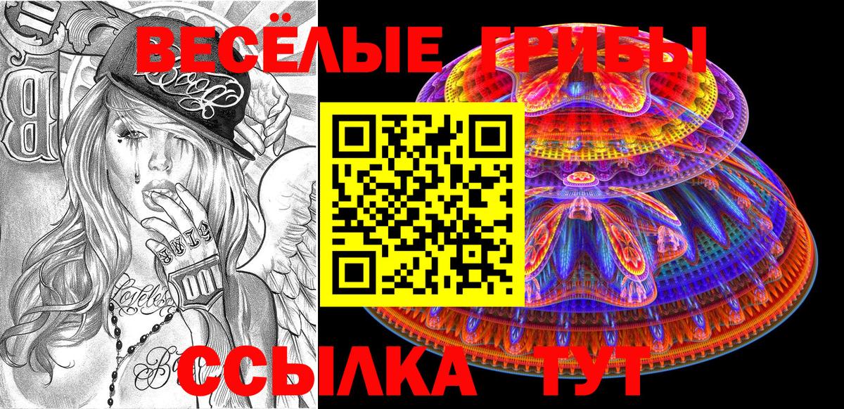 Галлюциногенные грибы GOLDEN TEACHER  Вход с VPN  Псилоцибиновые грибы прущие грибы  Липецк 
